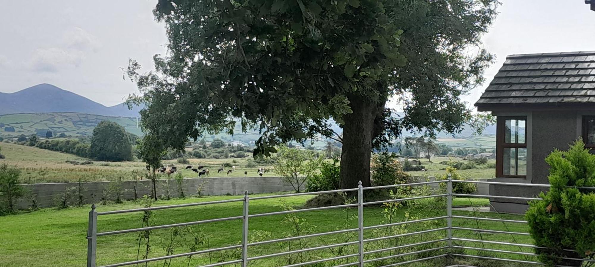 卡斯尔韦伦Oaktree Manor别墅 外观 照片